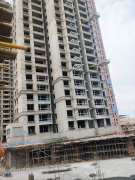 乾元·金海國(guó)際最新工程周報(bào) | 七月芳菲醉，人間夏至?xí)r，共鑒家成長(zhǎng)！