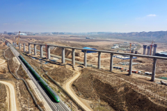 全速“犇”跑！新區重大項目建設正加速推進